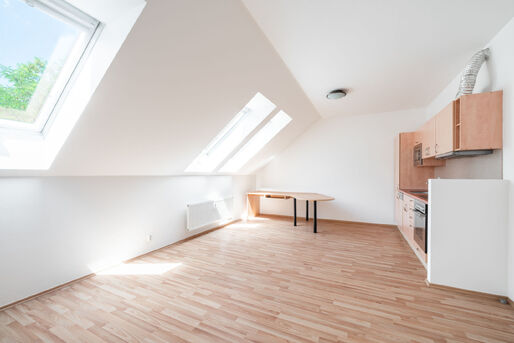 Č&aacute;stečně zař&iacute;zen&yacute; byt 1+kk, 39 m2