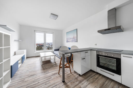 Zař&iacute;zen&yacute; byt 1+kk s gar&aacute;žov&yacute;m st&aacute;n&iacute;m, 29 m2