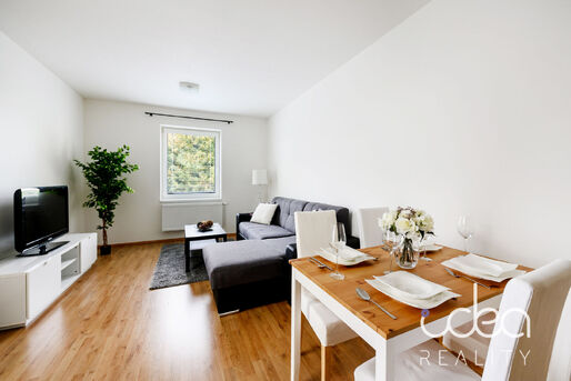 Podn&aacute;jem zař&iacute;zen&eacute;ho bytu 2+kk, 63 m2