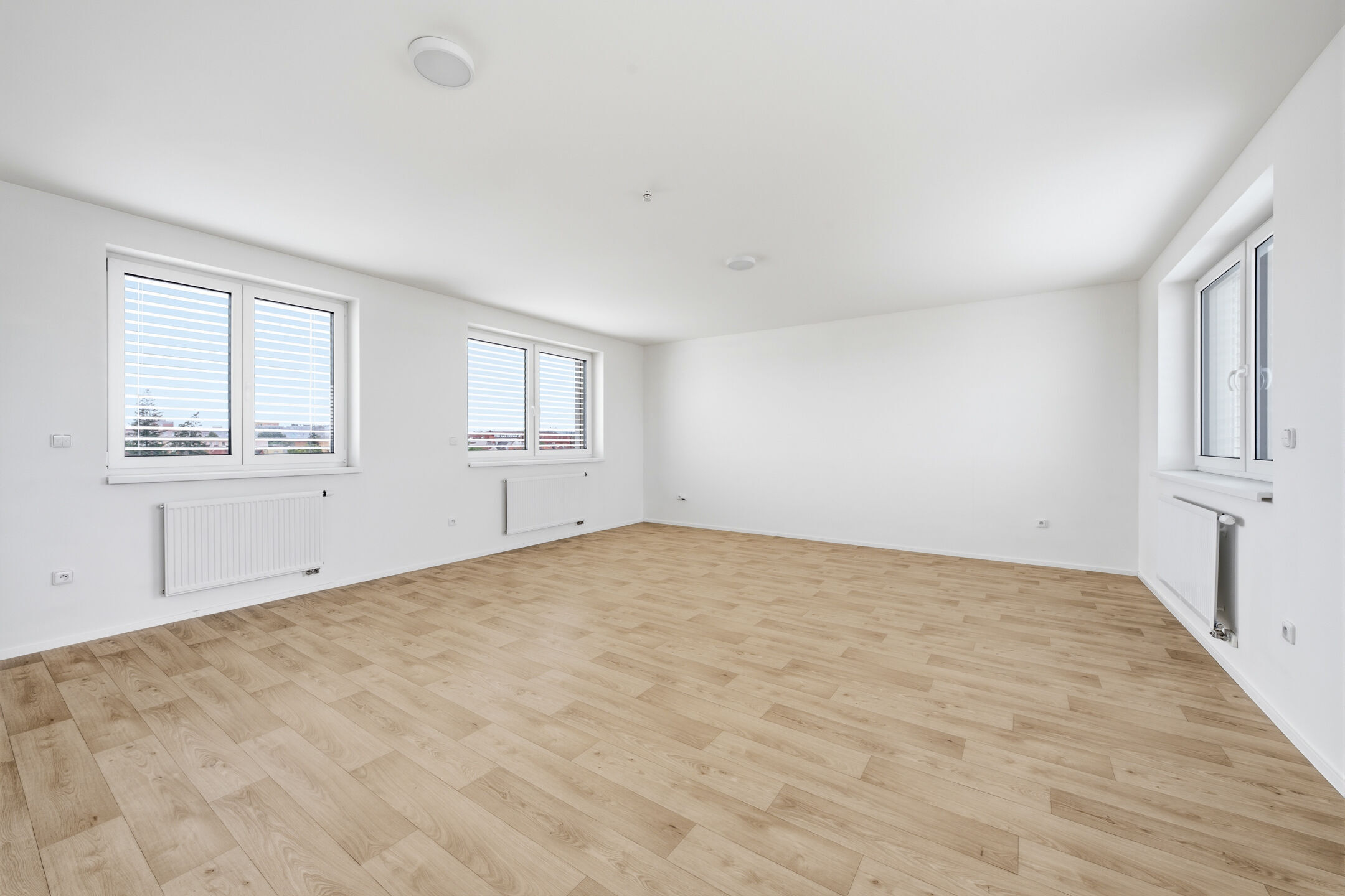Pron&aacute;jem prostorn&eacute;ho bytu, 66 m2
