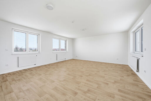 Pron&aacute;jem prostorn&eacute;ho bytu, 66 m2