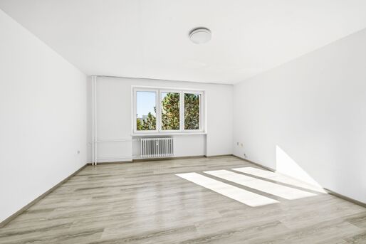 Pron&aacute;jem bytu 3+1 s balkonem, 71 m2