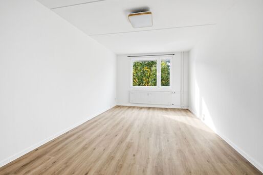 Pron&aacute;jem zrekonstruovan&eacute;ho bytu 1+1, 39 m2