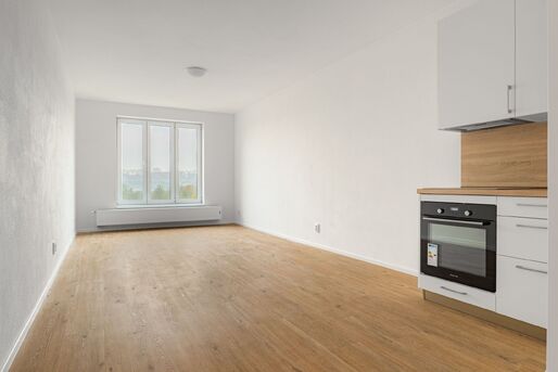 Prostorn&yacute; byt 2+kk s balkonem, 54 m2